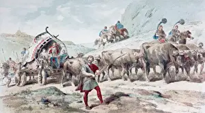 Nervian cart drawn by oxen, 1886 (colour litho) Nervian cart drawn by oxen, 1886 (colour litho)