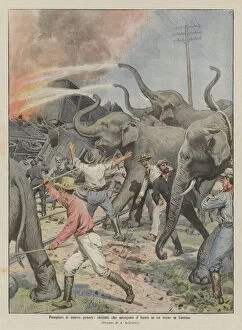New Firefighters, Elephants Putting Out Fire in a Burning Train (Colour Litho)