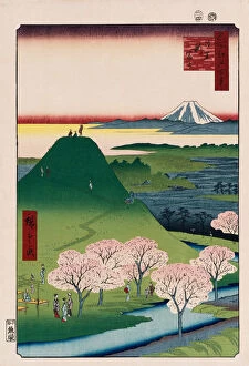 New Fuji, Meguro, from the series One Hundred Views of Famous Places in Edo'