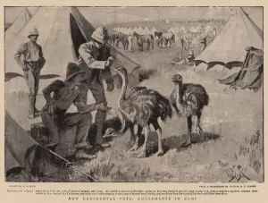 New Regimental Pets, Amusements in Camp (litho) New Regimental Pets, Amusements in Camp (litho)