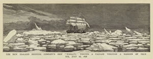 The New Zealand Shipping Company's Ship 'Waikato' forcing a Passage through a Barrier of Pack Ice