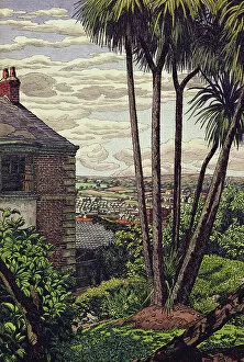 Britain Gallery: A Newlyn Garden (pen, ink and watercolour on paper)