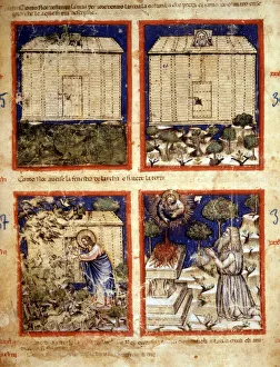 Noah's Ark, Miniature taken from codex 212 (or padovano codice or Bible of Padua Noah's Ark, Miniature taken from codex 212 (or padovano codice or Bible of Padua