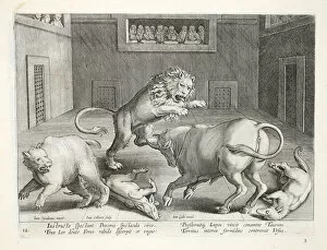 Noblemen watch combat of wild beasts in an indoor circus, illustration from Venationes, Ferarum, Avium