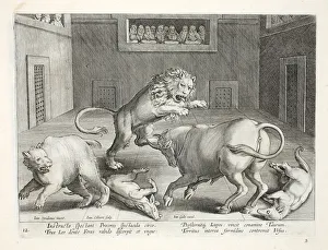 Noblemen watch combat of wild beasts in an indoor circus, illustration from Venationes, Ferarum, Avium Noblemen watch combat of wild beasts in an indoor circus, illustration from Venationes, Ferarum, Avium