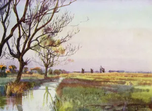 Norfolk Broads: Marshland near Barton (colour litho) Norfolk Broads: Marshland near Barton (colour litho)
