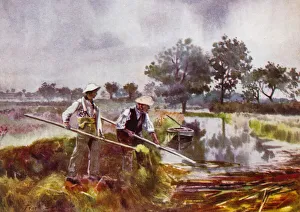 Norfolk Broads: Marshmen Weed-Lifting (colour litho) Norfolk Broads: Marshmen Weed-Lifting (colour litho)