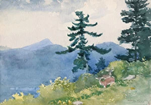 North Woods Club, Adirondacks (The Interrupted Tete-a-Tete), 1892 (w/c on paper)