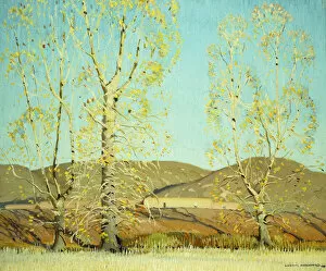 American Painting Gallery: November - Country Landscape, (oil on canvas)