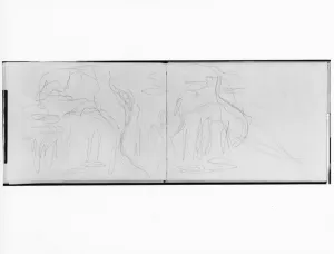 Weeping Willow Gallery: Nympheas (pencil on paper) (b / w photo)