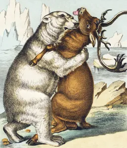 O : Ours blanc - The white bear lives in the glacial seas O : Ours blanc - The white bear lives in the glacial seas
