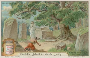 Oak tree sacred to the ancient Germans (chromolitho) Oak tree sacred to the ancient Germans (chromolitho)