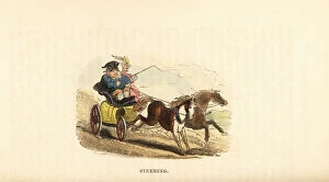 Vehicle Types Gallery: Obese man driving a two-horse carriage in Georgian England. 1831 (engraving)