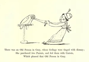 There was an Old Person in Gray, whose feelings were tinged with dismay (litho) There was an Old Person in Gray, whose feelings were tinged with dismay (litho)