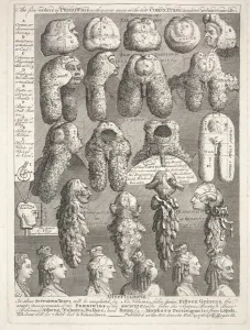 The Five Orders of the Perriwigs, October 15, 1761 (etching) The Five Orders of the Perriwigs, October 15, 1761 (etching)