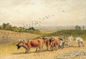 Oxen Ploughing a Downland Field (w/c on paper) Oxen Ploughing a Downland Field (w/c on paper)