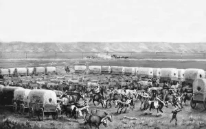 Oxen being yoked up in a corral of covered wagons in a painting by W. H Oxen being yoked up in a corral of covered wagons in a painting by W. H
