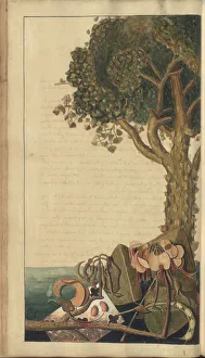 A page from the Elegancies of Jamaica, 95, 1750-79 (w/c on paper) A page from the Elegancies of Jamaica, 95, 1750-79 (w/c on paper)