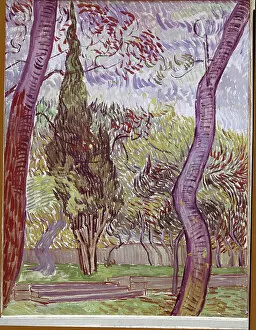 Hollander Gallery: Park of the Saint-Paul Hospital in Saint-Remy-de-Provence, 1889 (oil on canvas)