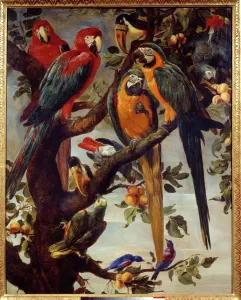Parrots and other birds Painting by Frans Snyders (1579-1657) 17th century Sun Parrots and other birds Painting by Frans Snyders (1579-1657) 17th century Sun