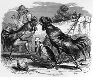 The Partridge and the Cocks, illustration from La Fontaine's Fable by Jean de La Fontaine, c. 1838-40 (engraving)