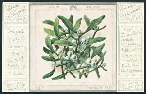 Patchwork Mistletoe, Christmas Card (chromolitho)