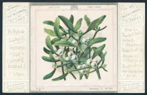Patchwork Mistletoe, Christmas Card (chromolitho) Patchwork Mistletoe, Christmas Card (chromolitho)