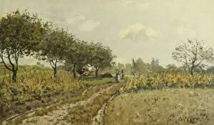 Images Dated 11th January 2012: The Path in the Countryside; Le Chemin dans la Campagne, 1876 (oil on canvas)