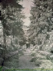 Path in Monet's Garden at Giverny, early 1920s (photo) Path in Monet's Garden at Giverny, early 1920s (photo)