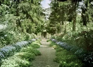Path in Monet's Garden at Giverny, early 1920s (photo) Path in Monet's Garden at Giverny, early 1920s (photo)