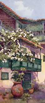 Ella Du Cane Gallery: A Patio (colour litho)