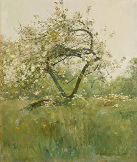Childe Frederick Hassam Gallery: Peach Blossoms, Villiers-le-Bel, 1887-89 (oil on canvas)