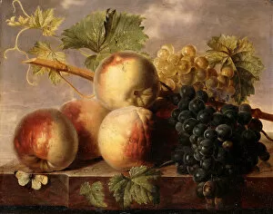Images Dated 16th August 2012: Peaches and Grapes with a Cabbage White on a Marble Ledge, (oil on marble)