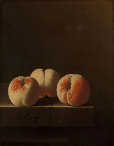 Three Peaches on a Stone Plinth, 1705 (oil on panel) Three Peaches on a Stone Plinth, 1705 (oil on panel)