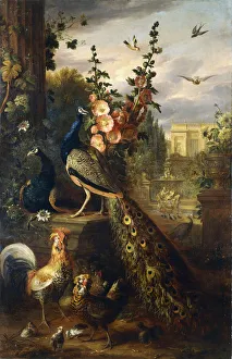 Two Peacocks on a Stone Plinth in a Garden, (oil on canvas) Two Peacocks on a Stone Plinth in a Garden, (oil on canvas)