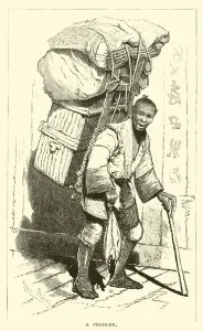 Peddler Gallery: A peddler (engraving)