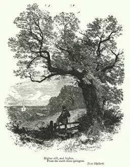 Poems Gallery: Percy Bysshe Shelley: Illustration for To a Slylark (engraving)