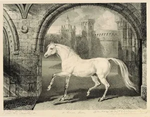 A Persian Horse, from 'Celebrated Horses', a set of fourteen racing prints A Persian Horse, from 'Celebrated Horses', a set of fourteen racing prints