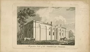 Perspective view of the veterinary college (engraving)