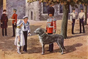The Pet Wolfhound of the Irish Guards at the Tower of London (colour litho)