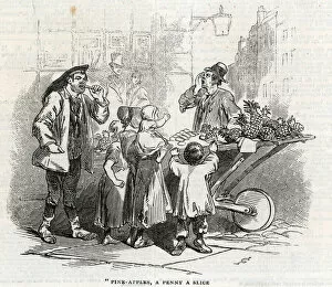 Pine-apples, a penny a slice (engraving)