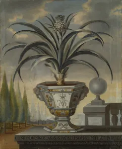 Pineapple plant, 1729 (oil on canvas) Pineapple plant, 1729 (oil on canvas)
