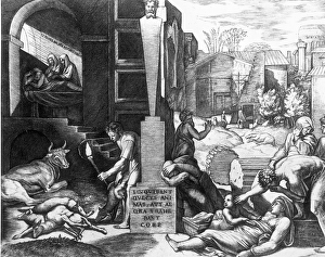 The Plague in Animals and Humans (engraving) (b/w photo) The Plague in Animals and Humans (engraving) (b/w photo)