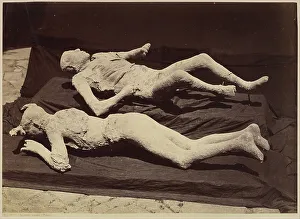 Corpses Gallery: Plaster Casts of Bodies, Pompeii, c.1875 (albumen print from glass negative)