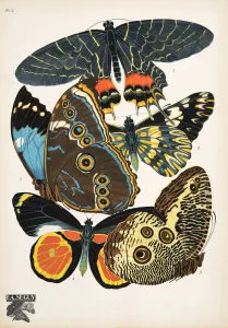 Plate 2, from Papillons, pub. 1925 (pochoir print) Plate 2, from Papillons, pub. 1925 (pochoir print)