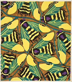 Wasps Gallery: Detail from Plate 20 from Insectes, pub. 1930s (pochoir print)