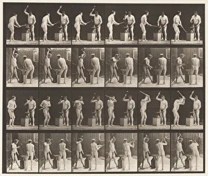 Plate 377. Blacksmith, Two Models, Hammering on Anvil, 1872-85 (collotype on paper) Plate 377. Blacksmith, Two Models, Hammering on Anvil, 1872-85 (collotype on paper)