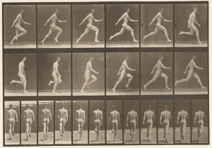 Plate 64. Running at Full Speed, 1872-85 (collotype on paper) Plate 64. Running at Full Speed, 1872-85 (collotype on paper)
