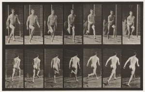 Plate 66. Running, 1872-85 (collotype on paper) Plate 66. Running, 1872-85 (collotype on paper)