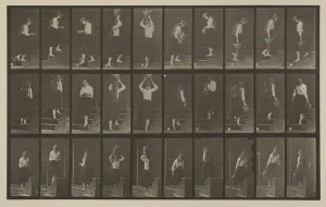 Plate Number 504. Ascending and descending stairs, 1887 (collotype) Plate Number 504. Ascending and descending stairs, 1887 (collotype)